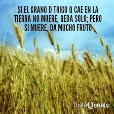 Frases Sobre Fe Por Sara Mora En Frases Sobre Fe