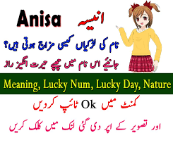Anisa Name Ki Larkiyan Kesi Hoti Hain Islamic Name Meaning In Urdu In 2020 Names With Meaning Islamic Names Meaning Meant To Be