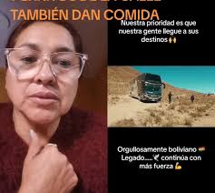 Ayuda a Perritos de la Calle con Flota Quirquincho