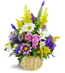 The area offers countless things to do, see and experience — from art galleries, concerts and restaurants to gardens, parks and trails. East Lansing Mi Florist Free Flower Delivery In East Lansing Mi Petra Flowers