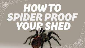 Today we're showing you how to get rid of spiders for good by sharing 17 home remedies to keep them out of the home. How To Spider Proof A Shed It Can Be Done Garden Buildings Direct