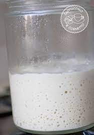 Autoprodursi il lievito madre è una grandissima soddisfazione, che aiuta senza dubbio a crescere in qualità di nerd degli. Rinfresco Del Licoli Lievito Madre Liquido Cappuccino E Cornetto
