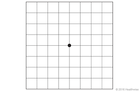 how to test vision using an amsler grid metro health