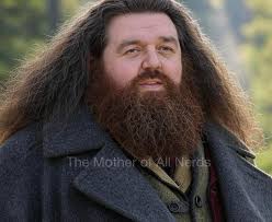 Nick Frost Officially Cast as Hagrid in HBO's 'Harry Potter' Series Nick  Frost has officially been cast as Rubeus Hagrid in HBO's upcoming Harry  Potter television series. The series aims to be