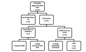 A congenital pulmonary airway malformation (cpam), also known as congenital cystic adenomatoid malformation (ccam), is a cystic piece of abnormal lung tissue that. Outcomes Of Cases Of Prenatally Diagnosed Congenital Pulmonary Airway Malformation