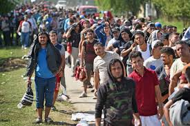 Total returns to croatia as of february 2000 numbered over 112,000, including 36,000 croatian serbs who repatriated from serbia and montenegro. Croatia S Army On Alert As It Tries To Slow Border Crossings Ncpr News