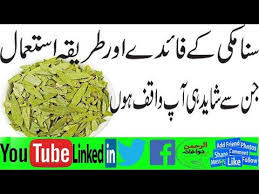 Health Benefits Of Senna Leaves Sana Makki Ke Fayde Senna Makki برگ سنا سنامکی کے فائدے Youtube Senna Leaf Health Benefits Health