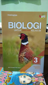 Buku biologi kelas 12 kurikulum 2013 pdf. Buku Biologi Kelas 12 Penerbit Erlangga Pdf Cara Golden