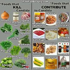 Foods That Kill Candida And Foods That Contribute To Candida Lighthousehealth Www Lighthousehealth C Candida Diet Recipes Candida Diet Food List Candida Diet