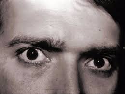 Stare sind allseits bekannte brutvögel in deutschland. How We Respond To Being Stared At Is An Evolutionary Trait