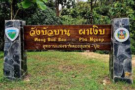 น้ำตกวังบัว