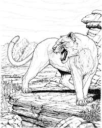 Pin On Tigers Lions Panthers And Cougar