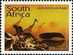 Stamp Giraffe Giraffa Camelopardalis South Africa Animal Tracks Stories In The Sand Mi Za 1716 Sn Za South Africa Animals Animal Tracks Africa Animals