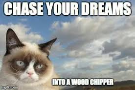 Wood Chipper Funny Grumpy Cat Memes Grumpy Cat Meme Grumpy Cat Humor