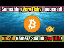 What's next as price doubles to $40k. Something Very Fishy Is Happening Right Now In Cryptocurrency In October 2020 Be Aware Blockcast Cc News On Blockchain Dlt Cryptocurrency