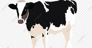 Lembu binatang putih hitam kelihatan angin datar gambar unduh gratis imej 610152555 format psd my lovepik com. Pin By Panjang Jb On My Saves Moose Art Animals Art
