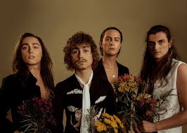 Image result for Brown 2022 Fleet