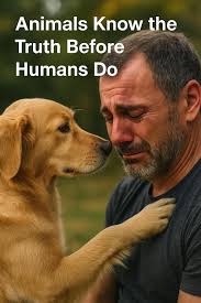 Are animals drawn to you? #vibehigh #healersofthelight #animallover