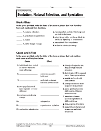 The population of predators of the moths has gotten smaller. 29 Selection And Speciation Worksheet Answers Free Worksheet Spreadsheet