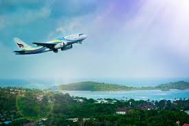 Dollar Flight Club: What is it and who may benefit? -