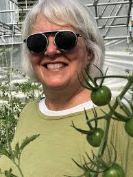 Marie Krane: Blissful Tomatoes for Your Table