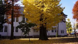 The site owner hides the web page description. å®‡éƒ½å®®å¤§å­¦æ­Œ Youtube