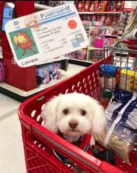 Juniel Moen (@JunielMoen)