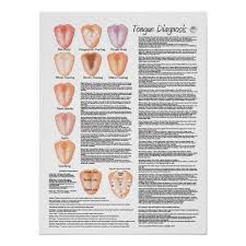 acupuncture tongue chart