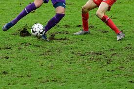 Скачать zulte waregem voetbal nieuws apk 1.6.7 для андроид. Oplossing In De Maak Akker Van Essevee Kan Na Reguliere Competitie Even Opgelapt Worden 24ste Speeldag Jpl Hln Be
