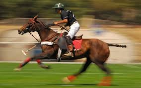 Huge collection, amazing choice, 100+ million high quality, affordable rf and rm images. Horse Riding In Argentina The South America Specialists