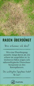 Rasen Uberdungt Anzeichen Erkennen Beheben Plantura Rasen Rasen Dungen Gartentipps