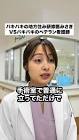 地方住み研修医みさき
