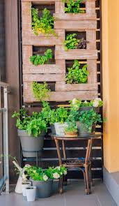Le erbe aromatiche sono piante facili da coltivare e danno grosse soddisfazioni in cucina.portare in tavola un pesto di basilico appena raccolto, degli gnocchi alla salvia, del pane. Erbe Aromatiche Un Angolo Aromatico In Casa Tutto L Anno