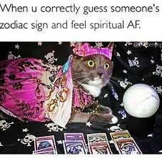 Astro Tarot Cat Is Rad Funny Pictures Funny Spiritual Memes Witch Meme