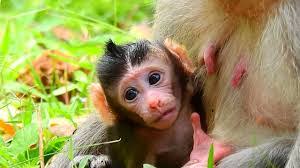 Carolyn Dephillip's Instagram, Twitter & Facebook