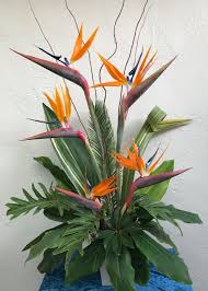 Bird Of Paradise Arrangement Birds Of Paradise Arrangement Tropical Flower Arrangements Church Flower Arrangements Flower Arragement