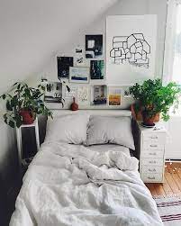 Small Bedroom With Indoor House Plants Dorm Room Inspiration Dorm Room Decor Room Inspiration