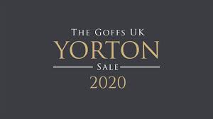 Enjoy all football live stream for free here. Goffs Uk Yorton Sale 2020 Yorton Farm