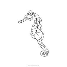 Check spelling or type a new query. Seahorse Coloring Page Ultra Coloring Pages