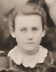 The Edmonds Family Forest