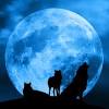 They make wonderful friends and romantic partners. 3