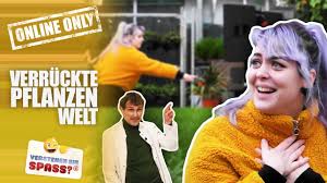 Sinan el sayed (* 3.juli 2001) ist ein deutscher schauspieler. Das Schreckhafte Handtuch Verstehen Sie Spass çš„youtubeè§†é¢'æ•ˆæžœåˆ†æžæŠ¥å'Š Noxinfluencer