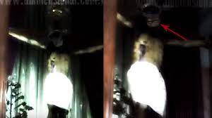 VIDEO: : Heboh! Mata Patung Yesus di Gereja ini Terekam Sedang Berkedip -  Suryamalang.com