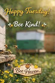 The Bee Hive -- March 2026 Edition - Page 17 - Blogs & Forums
