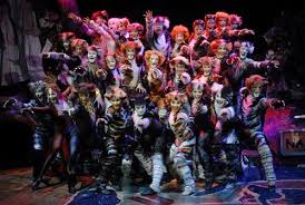 my favorite musical of all times cats musical cat movie demeter cats