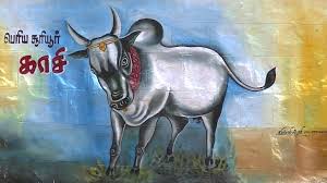 jallikattu wallpapers painting 608443 hd wallpaper backgrounds download jallikattu wallpapers painting