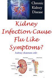 8 Kidney Function Polycystic Kidney Disease Awareness What Causes Kidney Disease Kidney Infection