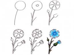 Cara melukis dan mewarna bunga ros sangat senang mudah. Lukiskan Bunga Dalam Langkah Pensel Dengan Langkah 314167 Info