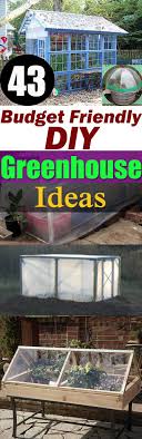 Whether you are already an avid gardener or just starting out, check out these diy greenhouse projects! 43 Budget Friendly Diy Greenhouse Ideas Balcony Garden Web