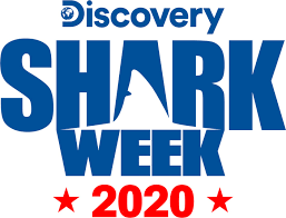 It seems as though ever. Shark Week 2020 Lineup Seat42f
